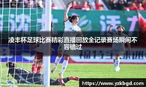 MK体育全站