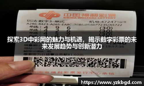 MK体育全站