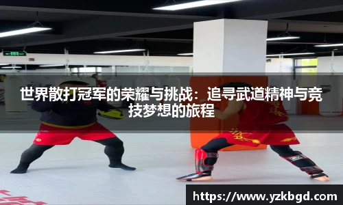 世界散打冠军的荣耀与挑战：追寻武道精神与竞技梦想的旅程
