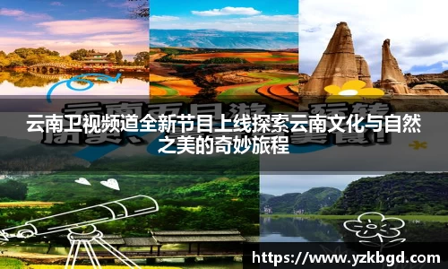 MK体育全站