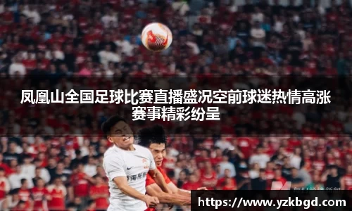 MK体育网站