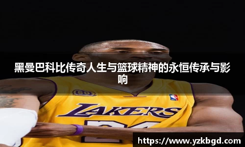MK体育网站