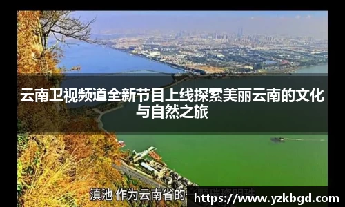 MK体育网站
