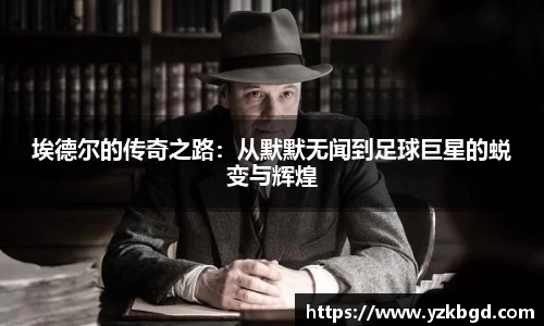 MK体育全站