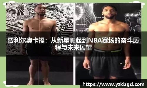 MK体育全站